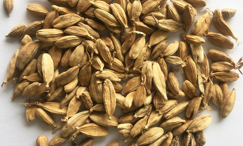 Cardamome grain - ESPECIAS PEDROZA